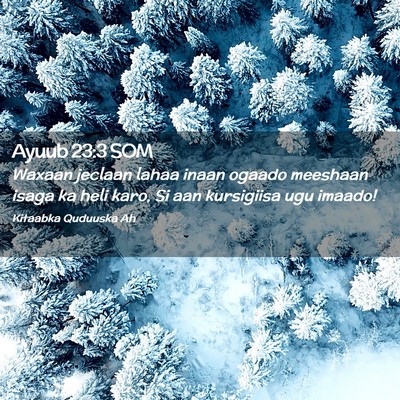 Picture 02 - Ayuub 23:3 SOM - Waxaan jeclaan lahaa inaan ogaado meeshaan isaga - Bible Verse Picture