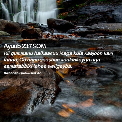 Picture 02 - Ayuub 23:7 SOM - Kii qummanu halkaasuu isaga kula xaajoon kari - Bible Verse Picture