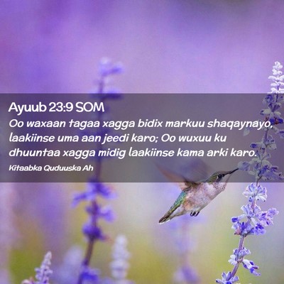 Picture 02 - Ayuub 23:9 SOM - Oo waxaan tagaa xagga bidix markuu shaqaynayo, - Bible Verse Picture