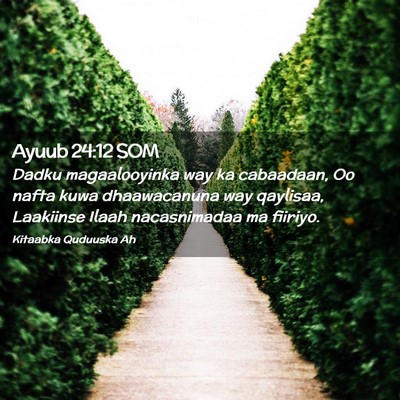 Picture 02 - Ayuub 24:12 SOM - Dadku magaalooyinka way ka cabaadaan, Oo nafta - Bible Verse Picture