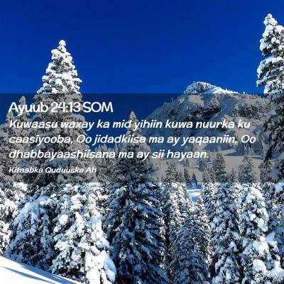 Picture 02 - Ayuub 24:13 SOM - Kuwaasu waxay ka mid yihiin kuwa nuurka ku - Bible Verse Picture