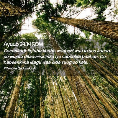Picture 02 - Ayuub 24:14 SOM - Gacankudhiigluhu kaaha waaberi wuu la soo kacaa, - Bible Verse Picture
