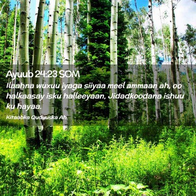 Picture 02 - Ayuub 24:23 SOM - Ilaahna wuxuu iyaga siiyaa meel ammaan ah, oo - Bible Verse Picture
