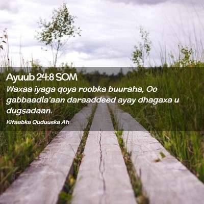 Picture 02 - Ayuub 24:8 SOM - Waxaa iyaga qoya roobka buuraha, Oo gabbaadla'aan - Bible Verse Picture