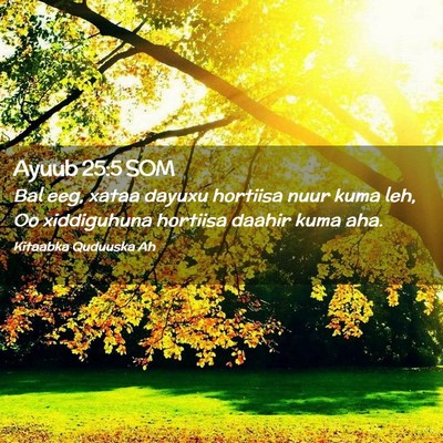 Picture 02 - Ayuub 25:5 SOM - Bal eeg, xataa dayuxu hortiisa nuur kuma leh, Oo - Bible Verse Picture