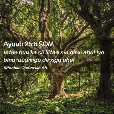 Picture 02 - Ayuub 25:6 SOM - Intee buu ka sii liitaa nin dirxi ahu! Iyo - Bible Verse Picture