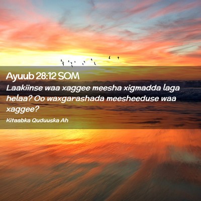 Picture 02 - Ayuub 28:12 SOM - Laakiinse waa xaggee meesha xigmadda laga helaa? - Bible Verse Picture