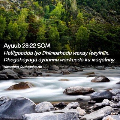 Picture 02 - Ayuub 28:22 SOM - Halligaadda iyo Dhimashadu waxay leeyihiin, - Bible Verse Picture
