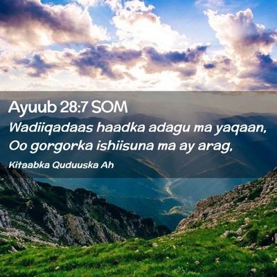 Picture 02 - Ayuub 28:7 SOM - Wadiiqadaas haadka adagu ma yaqaan, Oo gorgorka - Bible Verse Picture