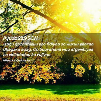 Picture 02 - Ayuub 28:9 SOM - Isagu gacantiisuu soo fidiyaa oo wuxuu saaraa - Bible Verse Picture