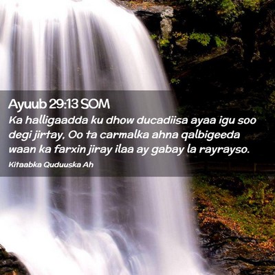 Picture 02 - Ayuub 29:13 SOM - Ka halligaadda ku dhow ducadiisa ayaa igu soo - Bible Verse Picture