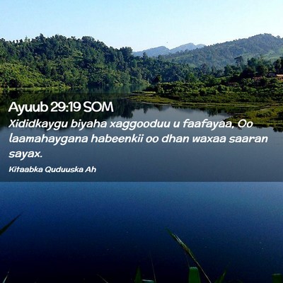 Picture 02 - Ayuub 29:19 SOM - Xididkaygu biyaha xaggooduu u faafayaa, Oo - Bible Verse Picture