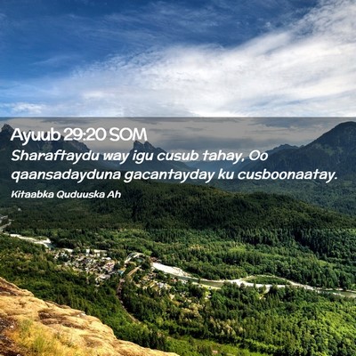 Picture 02 - Ayuub 29:20 SOM - Sharaftaydu way igu cusub tahay, Oo qaansadayduna - Bible Verse Picture