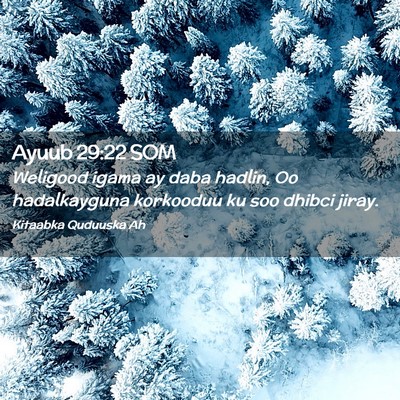 Picture 02 - Ayuub 29:22 SOM - Weligood igama ay daba hadlin, Oo hadalkayguna - Bible Verse Picture