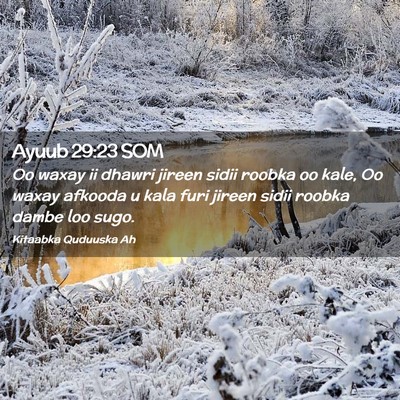 Picture 02 - Ayuub 29:23 SOM - Oo waxay ii dhawri jireen sidii roobka oo kale, - Bible Verse Picture