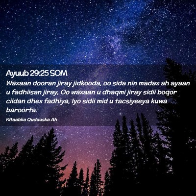 Picture 02 - Ayuub 29:25 SOM - Waxaan dooran jiray jidkooda, oo sida nin madax - Bible Verse Picture