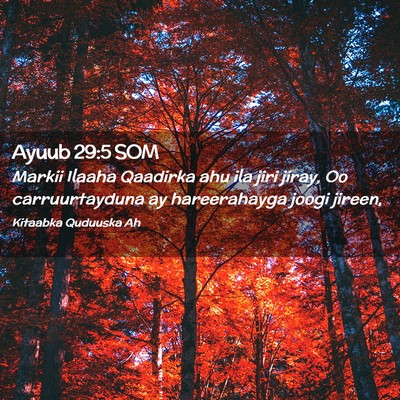 Picture 02 - Ayuub 29:5 SOM - Markii Ilaaha Qaadirka ahu ila jiri jiray, Oo - Bible Verse Picture