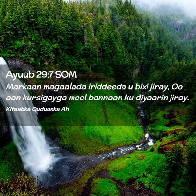Picture 02 - Ayuub 29:7 SOM - Markaan magaalada iriddeeda u bixi jiray, Oo aan - Bible Verse Picture