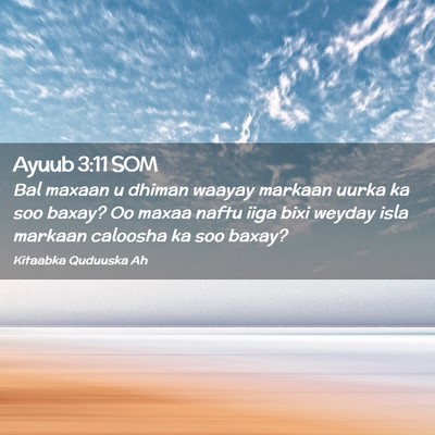 Picture 02 - Ayuub 3:11 SOM - Bal maxaan u dhiman waayay markaan uurka ka soo - Bible Verse Picture