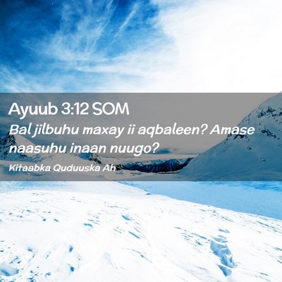 Picture 02 - Ayuub 3:12 SOM - Bal jilbuhu maxay ii aqbaleen? Amase naasuhu - Bible Verse Picture
