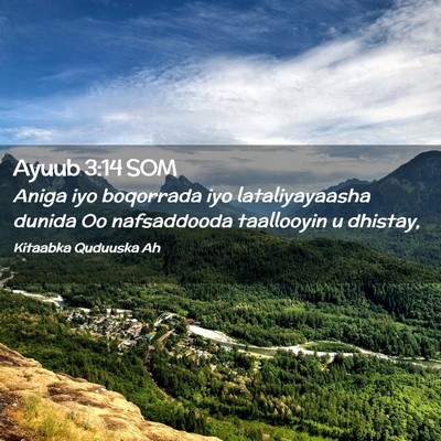 Picture 02 - Ayuub 3:14 SOM - Aniga iyo boqorrada iyo lataliyayaasha dunida Oo - Bible Verse Picture