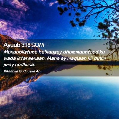 Picture 02 - Ayuub 3:18 SOM - Maxaabiistuna halkaasay dhammaantood ku wada - Bible Verse Picture