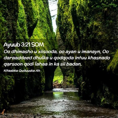 Picture 02 - Ayuub 3:21 SOM - Oo dhimasho u xiisooda, oo ayan u imanayn, Oo - Bible Verse Picture