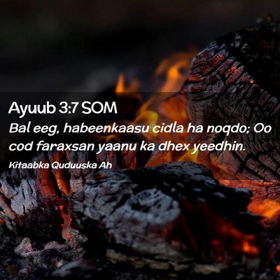 Picture 02 - Ayuub 3:7 SOM - Bal eeg, habeenkaasu cidla ha noqdo; Oo cod - Bible Verse Picture