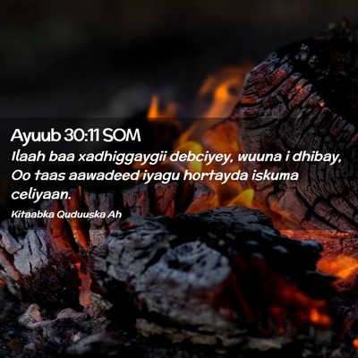 Picture 02 - Ayuub 30:11 SOM - Ilaah baa xadhiggaygii debciyey, wuuna i dhibay, - Bible Verse Picture
