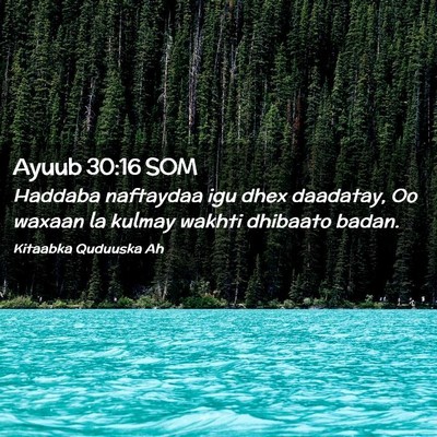 Picture 02 - Ayuub 30:16 SOM - Haddaba naftaydaa igu dhex daadatay, Oo waxaan la - Bible Verse Picture
