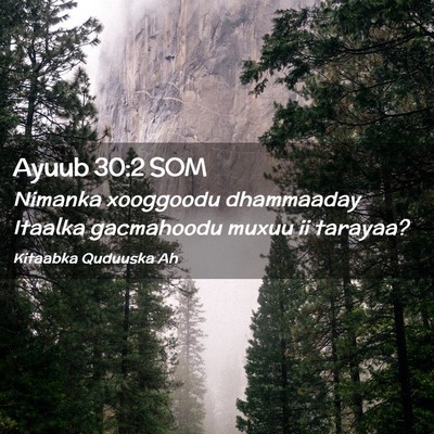 Picture 02 - Ayuub 30:2 SOM - Nimanka xooggoodu dhammaaday Itaalka gacmahoodu - Bible Verse Picture