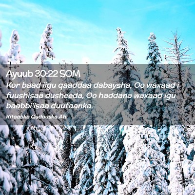 Picture 02 - Ayuub 30:22 SOM - Kor baad iigu qaaddaa dabaysha, Oo waxaad i - Bible Verse Picture