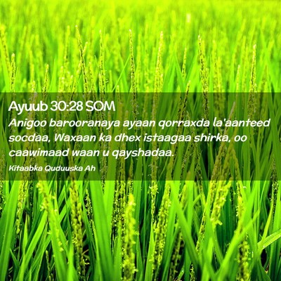 Picture 02 - Ayuub 30:28 SOM - Anigoo barooranaya ayaan qorraxda la'aanteed - Bible Verse Picture
