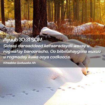 Picture 02 - Ayuub 30:31 SOM - Sidaas daraaddeed kataaradaydii waxay u rogmatay - Bible Verse Picture