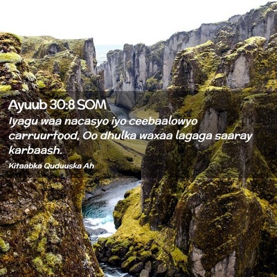 Picture 02 - Ayuub 30:8 SOM - Iyagu waa nacasyo iyo ceebaalowyo carruurtood, Oo - Bible Verse Picture
