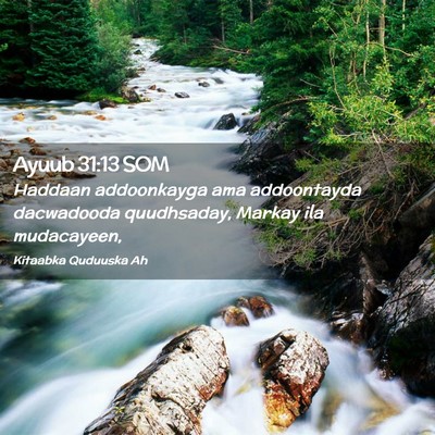 Picture 02 - Ayuub 31:13 SOM - Haddaan addoonkayga ama addoontayda dacwadooda - Bible Verse Picture