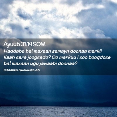 Picture 02 - Ayuub 31:14 SOM - Haddaba bal maxaan samayn doonaa markii Ilaah - Bible Verse Picture