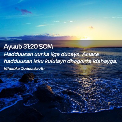 Picture 02 - Ayuub 31:20 SOM - Hadduusan uurka iiga ducayn, Amase hadduusan isku - Bible Verse Picture