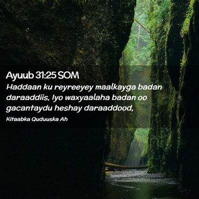 Picture 02 - Ayuub 31:25 SOM - Haddaan ku reyreeyey maalkayga badan daraaddiis, - Bible Verse Picture