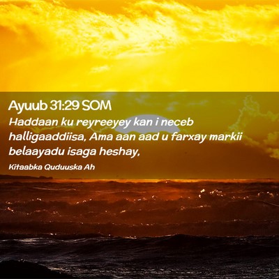 Picture 02 - Ayuub 31:29 SOM - Haddaan ku reyreeyey kan i neceb halligaaddiisa, - Bible Verse Picture