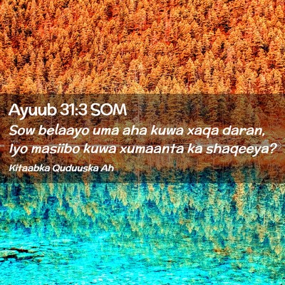 Picture 02 - Ayuub 31:3 SOM - Sow belaayo uma aha kuwa xaqa daran, Iyo masiibo - Bible Verse Picture