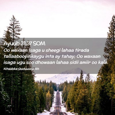 Picture 02 - Ayuub 31:37 SOM - Oo waxaan isaga u sheegi lahaa tirada - Bible Verse Picture