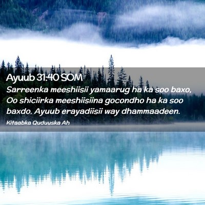 Picture 02 - Ayuub 31:40 SOM - Sarreenka meeshiisii yamaarug ha ka soo baxo, Oo - Bible Verse Picture