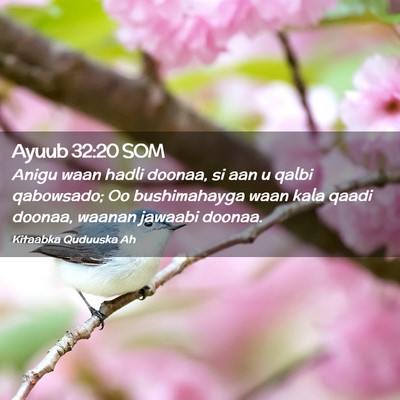 Picture 02 - Ayuub 32:20 SOM - Anigu waan hadli doonaa, si aan u qalbi - Bible Verse Picture