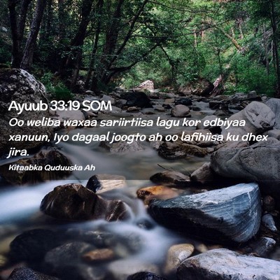 Picture 02 - Ayuub 33:19 SOM - Oo weliba waxaa sariirtiisa lagu kor edbiyaa - Bible Verse Picture