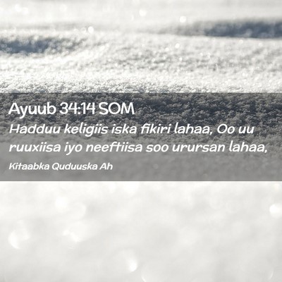 Picture 02 - Ayuub 34:14 SOM - Hadduu keligiis iska fikiri lahaa, Oo uu ruuxiisa - Bible Verse Picture