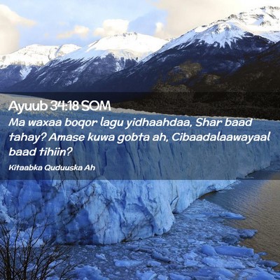 Picture 02 - Ayuub 34:18 SOM - Ma waxaa boqor lagu yidhaahdaa, Shar baad tahay? - Bible Verse Picture