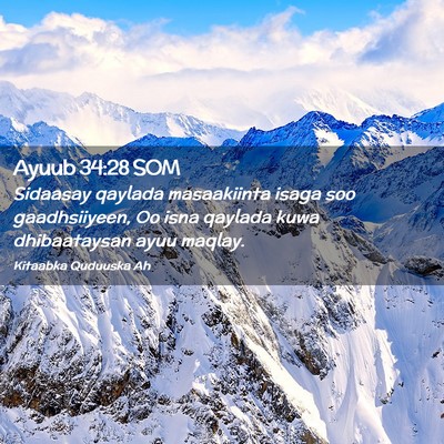 Picture 02 - Ayuub 34:28 SOM - Sidaasay qaylada masaakiinta isaga soo - Bible Verse Picture