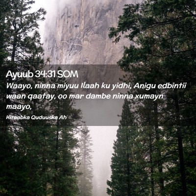Picture 02 - Ayuub 34:31 SOM - Waayo, ninna miyuu Ilaah ku yidhi, Anigu edbintii - Bible Verse Picture