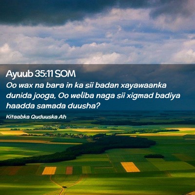 Picture 02 - Ayuub 35:11 SOM - Oo wax na bara in ka sii badan xayawaanka dunida - Bible Verse Picture
